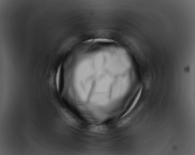 X0000101170185200807181432