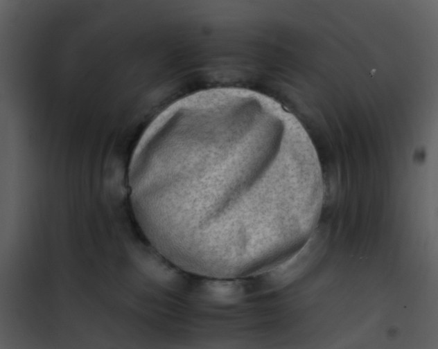 X0000101170187200807181432