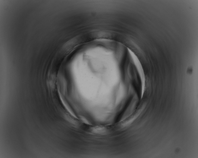 X0000101170189200807181432