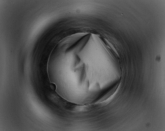 X0000101170190200807181432