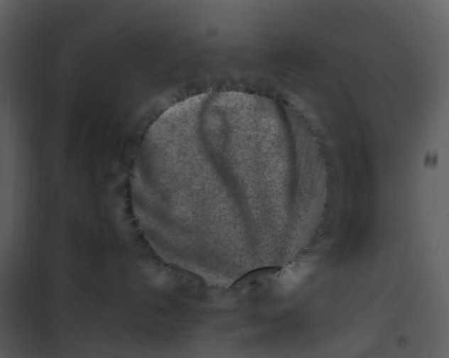X0000101170192200807181432