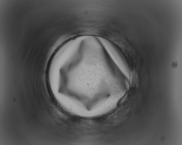 X0000101170195200807181432