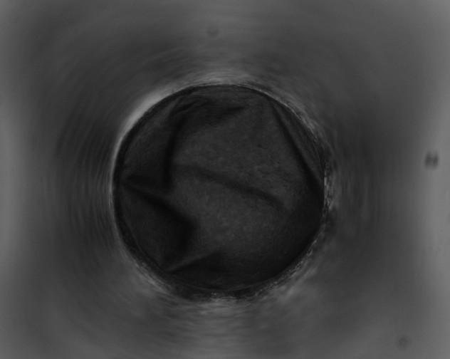 X0000101170196200807181432