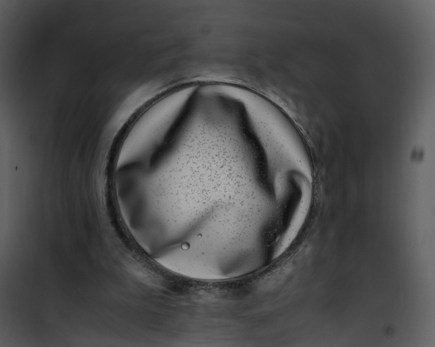 X0000101170199200807181431