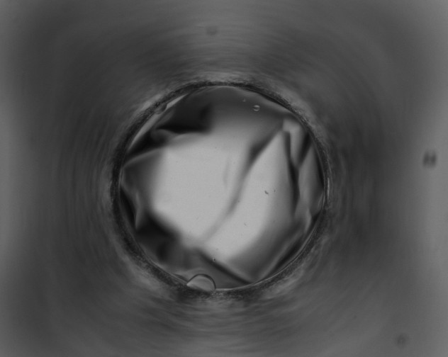 X0000101170201200807181431