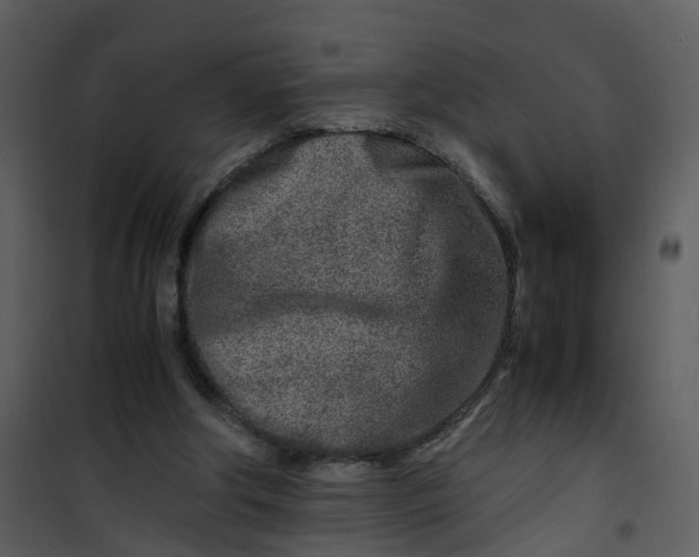 X0000101170202200807181431