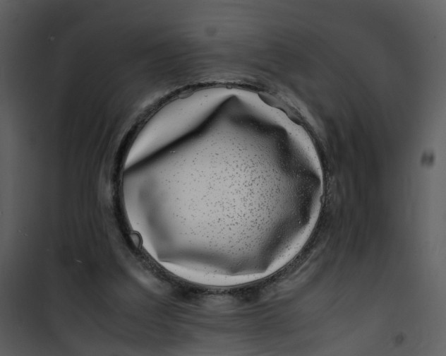 X0000101170203200807181431