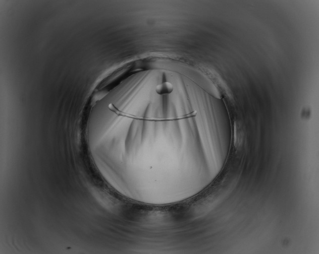 X0000101170204200807181431
