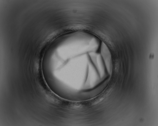 X0000101170206200807181431