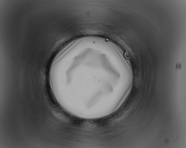 X0000101170207200807181431