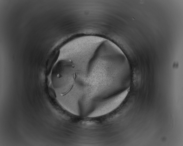 X0000101170208200807181431