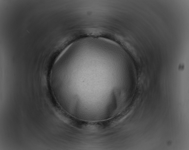 X0000101170209200807181431