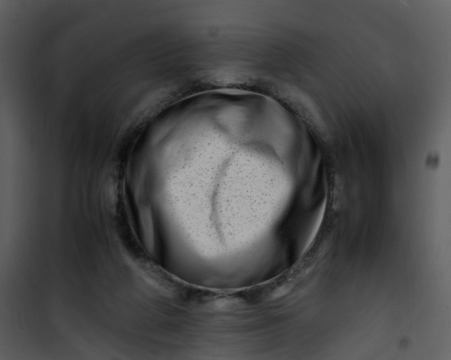 X0000101170210200807181431