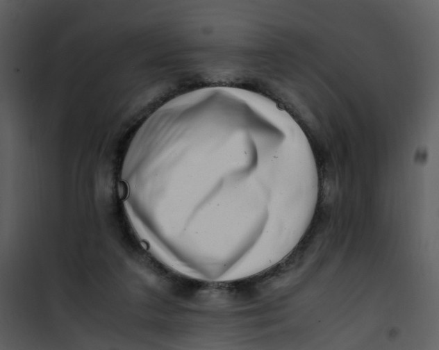 X0000101170211200807181431