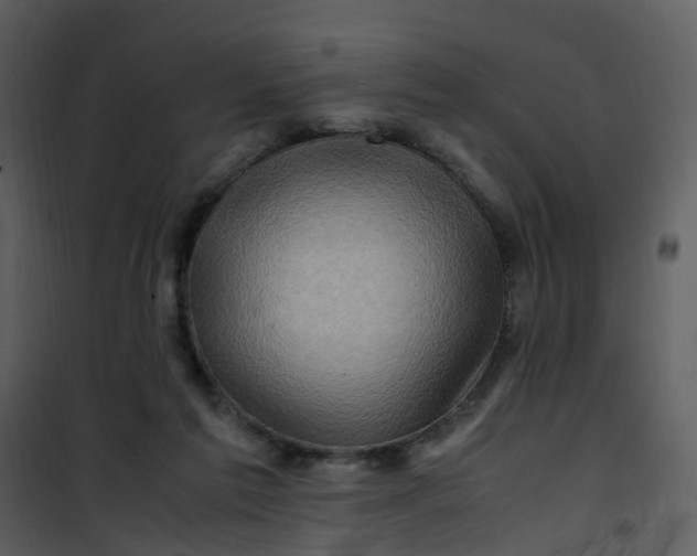 X0000101170213200807181431