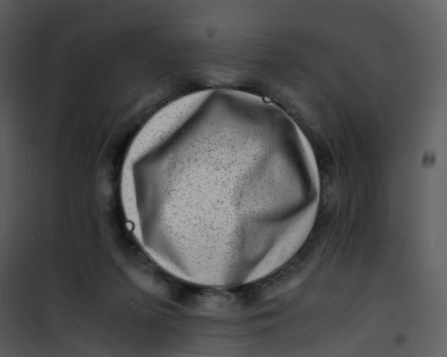 X0000101170215200807181431
