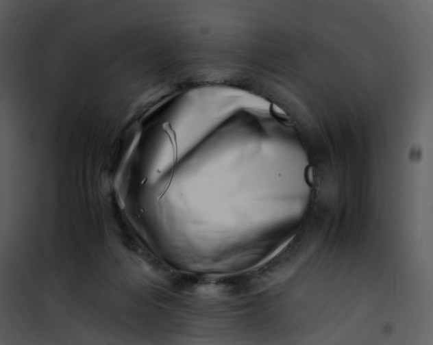 X0000101170216200807181431
