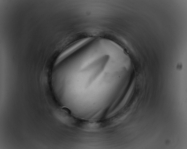 X0000101170217200807181431