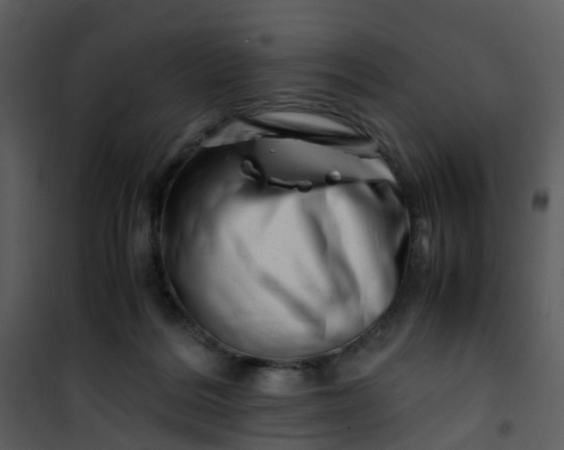 X0000101170220200807181431