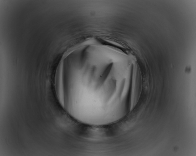 X0000101170221200807181431