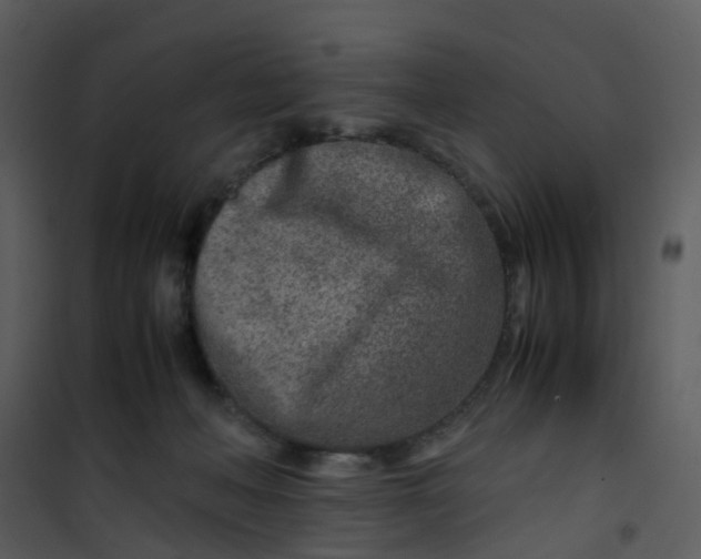 X0000101170222200807181431