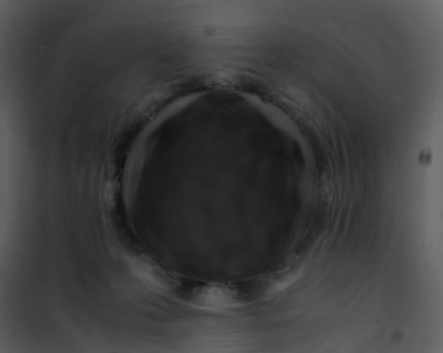 X0000101170223200807181431