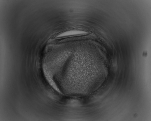 X0000101170224200807181431