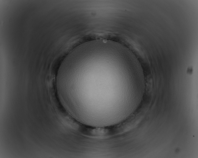 X0000101170225200807181431