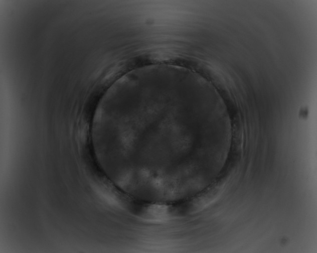 X0000101170227200807181431