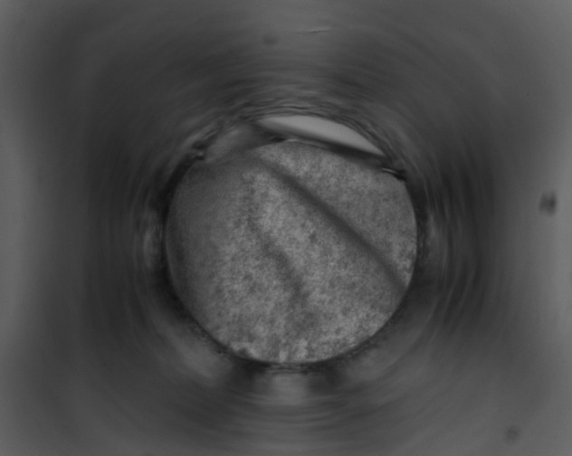 X0000101170228200807181431