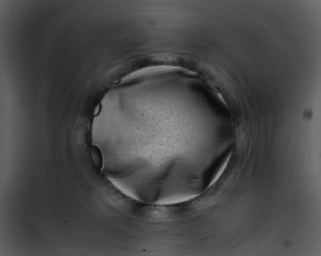 X0000101170229200807181431
