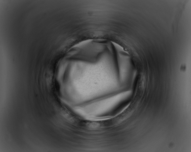 X0000101170230200807181431