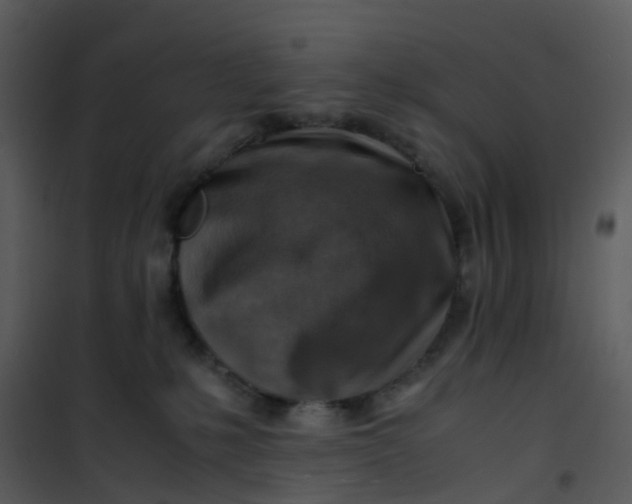 X0000101170231200807181431