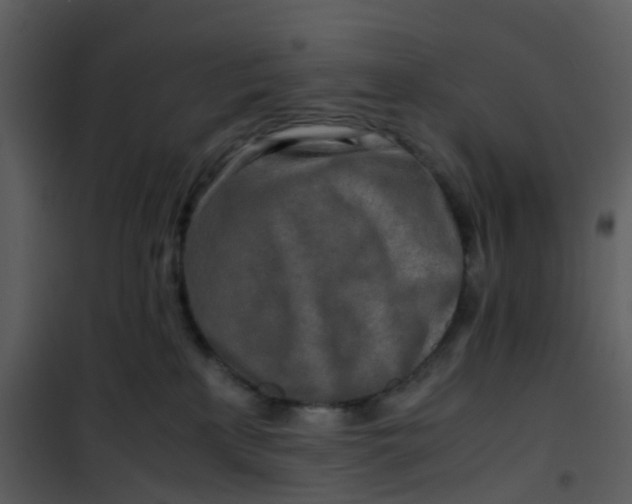 X0000101170233200807181431