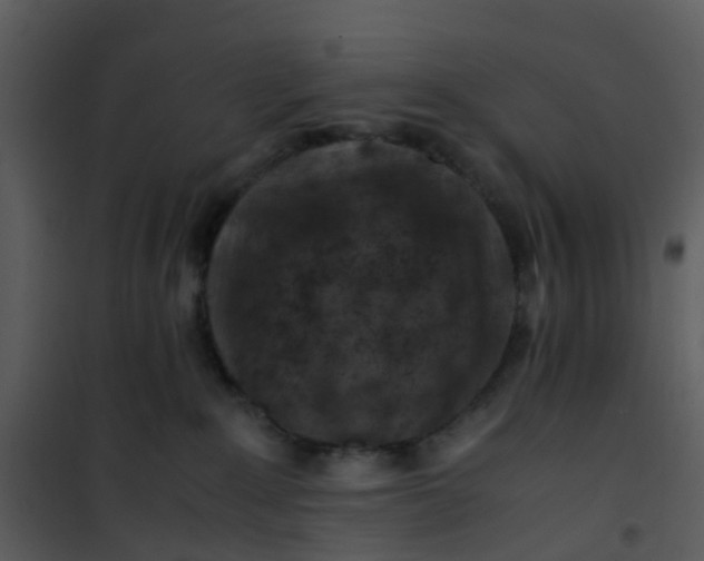 X0000101170235200807181431