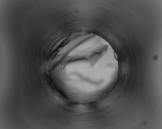 X0000101170236200807181431