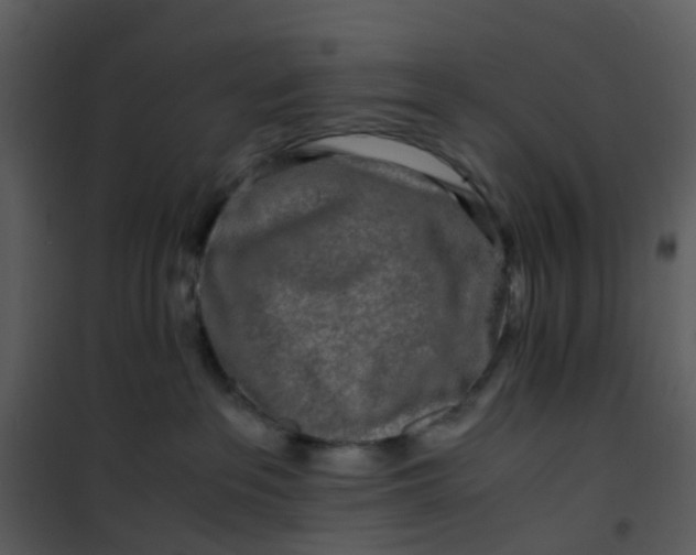 X0000101170237200807181431