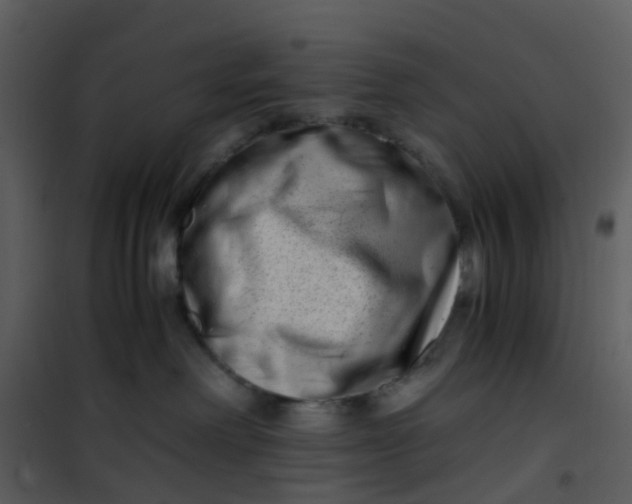 X0000101170238200807181431