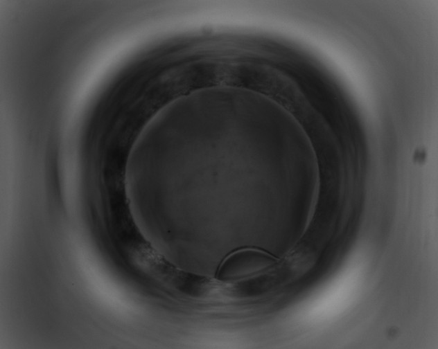 X0000101170239200807181431