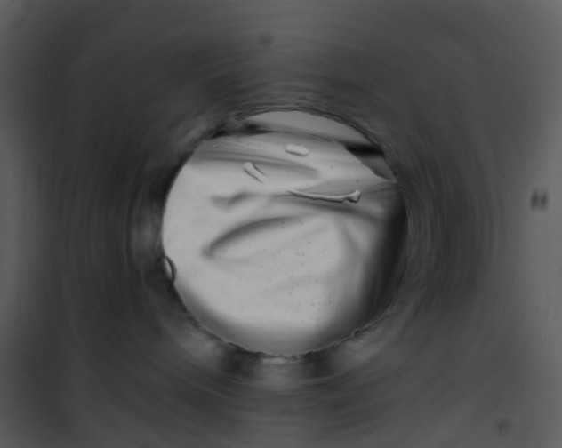 X0000101170240200807181431
