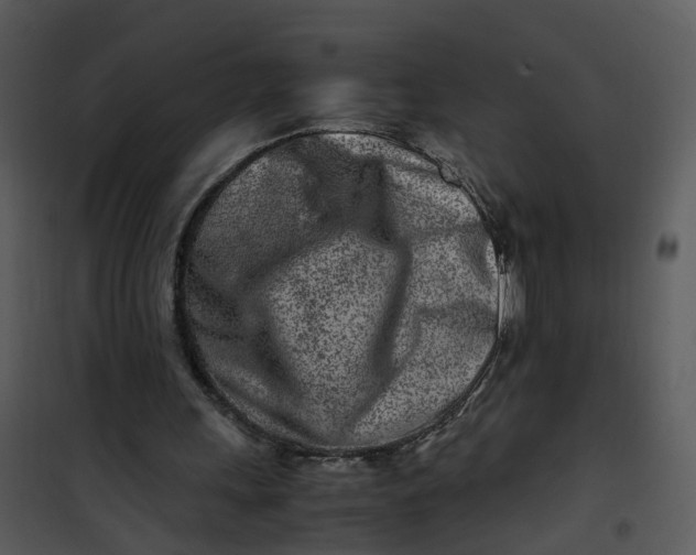 X0000101170243200807181430