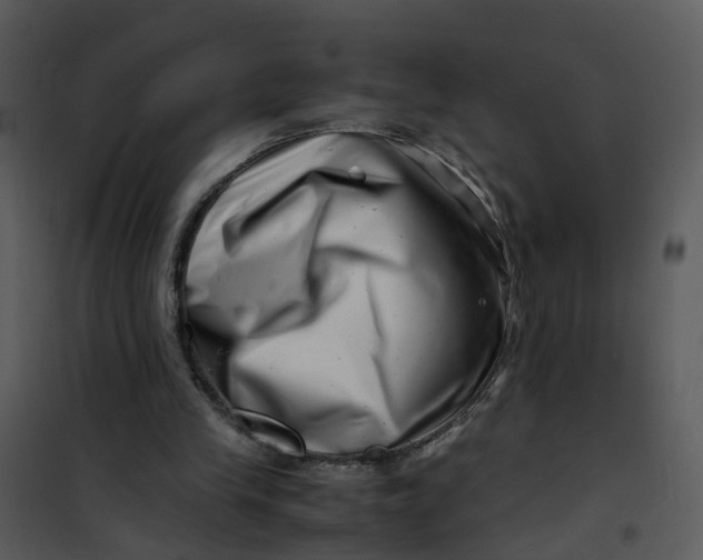 X0000101170245200807181430