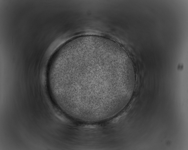 X0000101170247200807181430