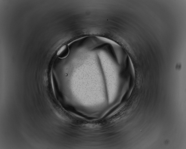 X0000101170251200807181430