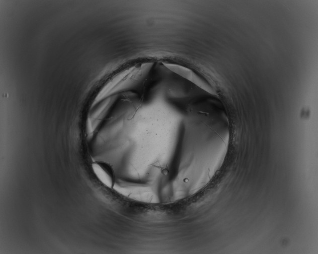 X0000101170256200807181430