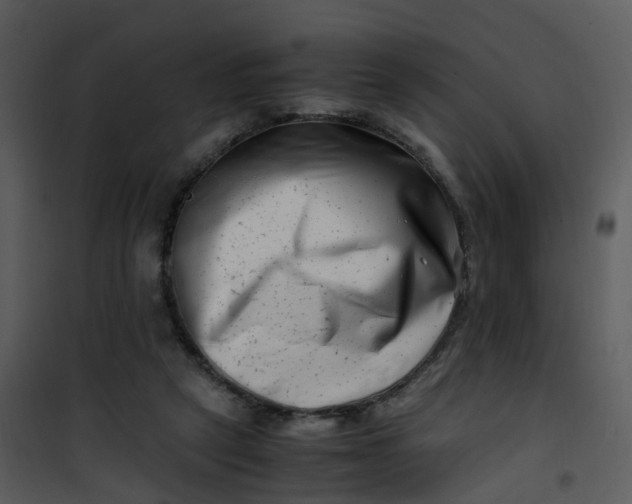 X0000101170257200807181430