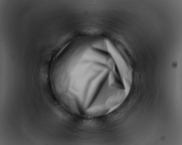 X0000101170259200807181430