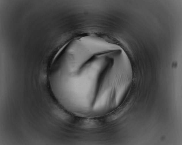 X0000101170261200807181430