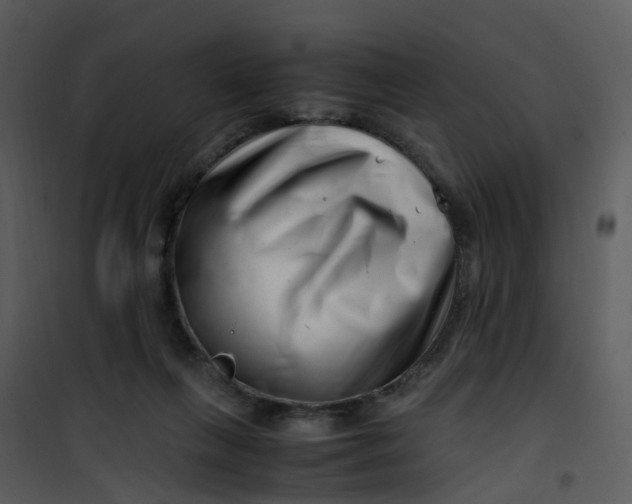 X0000101170263200807181430