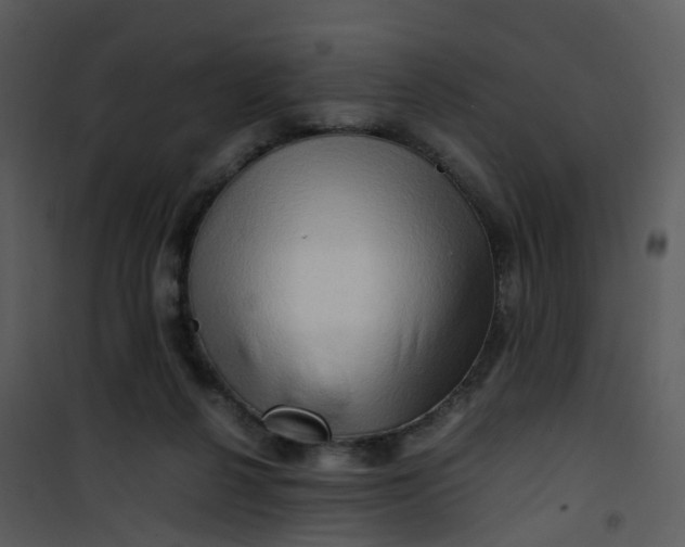 X0000101170264200807181430